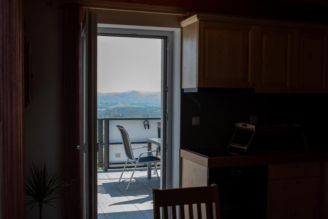 Apartmaji Gracner Dramlje Extérieur photo